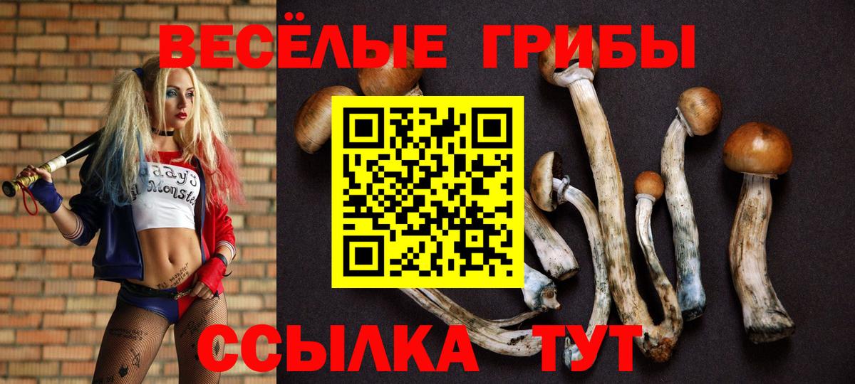 продажа наркотиков  Галлюциногенные грибы прущие грибы  Псилоцибиновые грибы Psilocybine cubensis  Вход с VPN  Чусовой 